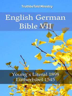 cover image of English German Bible VII